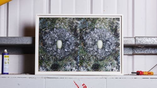 Y2K! The Noughties Art Explosion