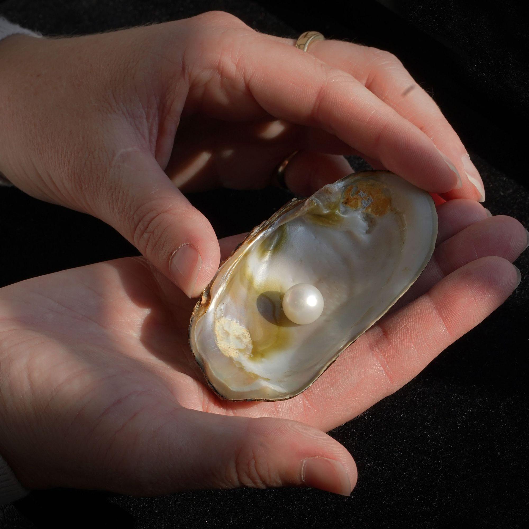 Lyon & Turnbull's Head of Jewellery, Ruth Davis FGA DGA, with The Abernethy Pearl 0 Image by Stewart Attwood  (4)