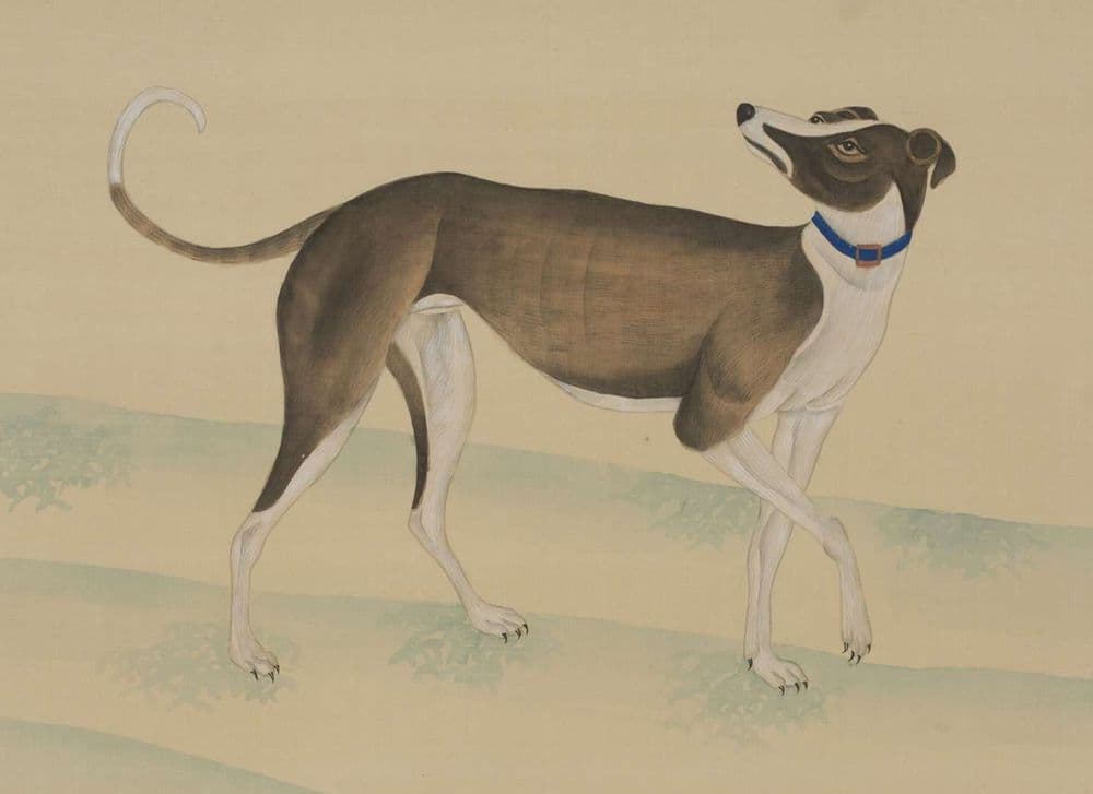 Giuseppe Castiglione | Italian 1688 - 1766