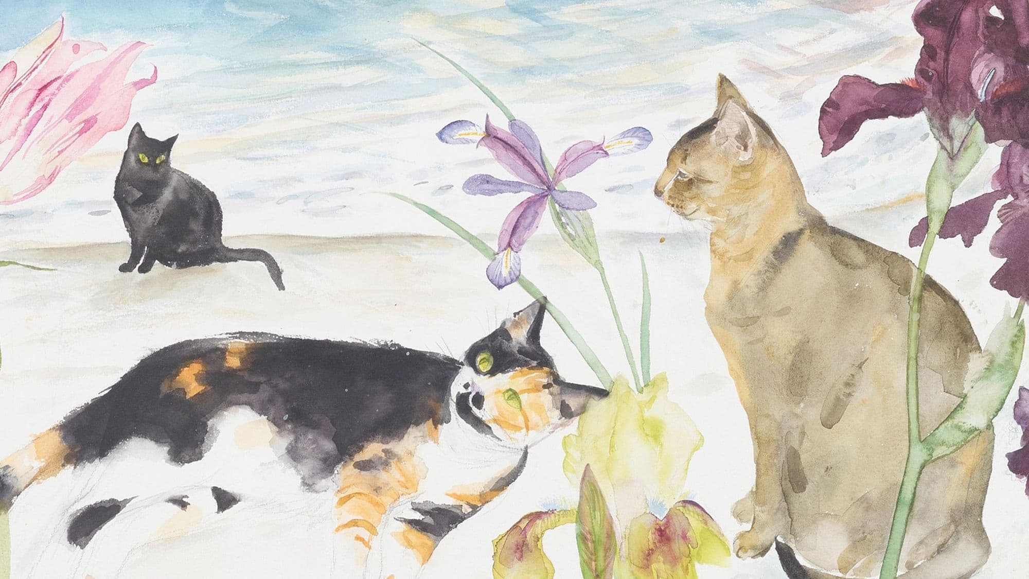 Exhibition | Elizabeth Blackadder & the Poetry of Memory